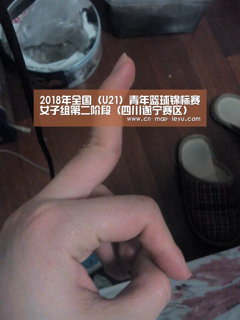 乐鱼app官网