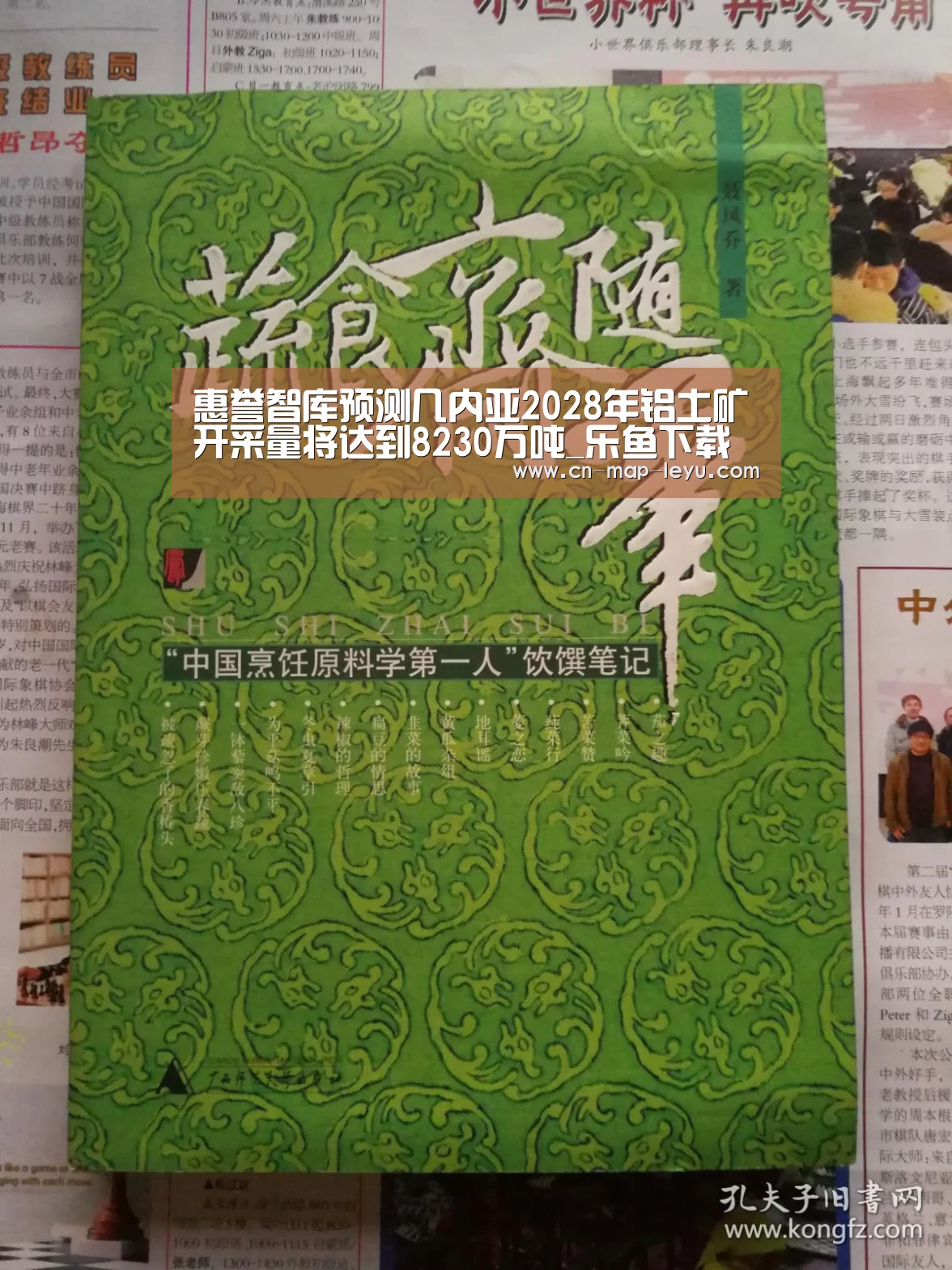 惠誉智库预测几内亚2028年铝土矿开采量将达到8230万吨_乐鱼下载(图3) 乐鱼app官网